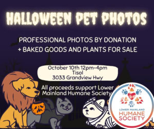 halloween-pet-photos-2026